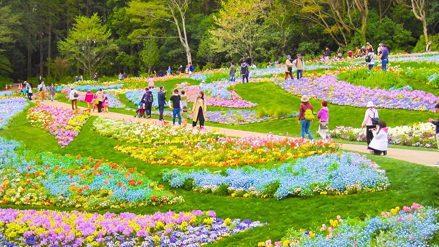 ⛏️ 호소쿠라 광산 공원(호소쿠라 마인파크) 이미지 10